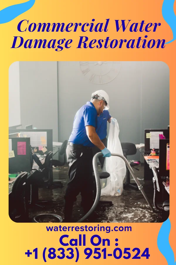 Commercial Water Damage Restoration in Oldtown, ID