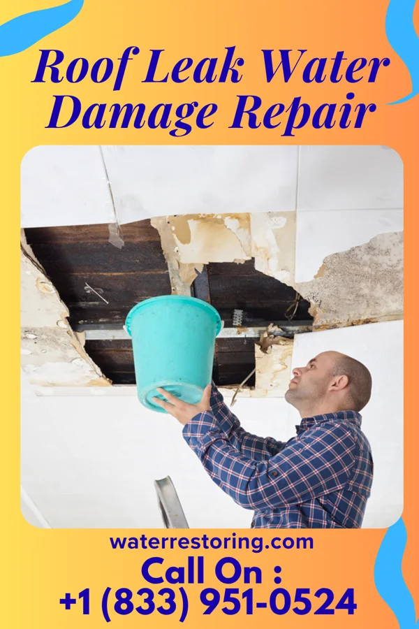 Roof Leak Water Damage Repair in Oldtown, ID